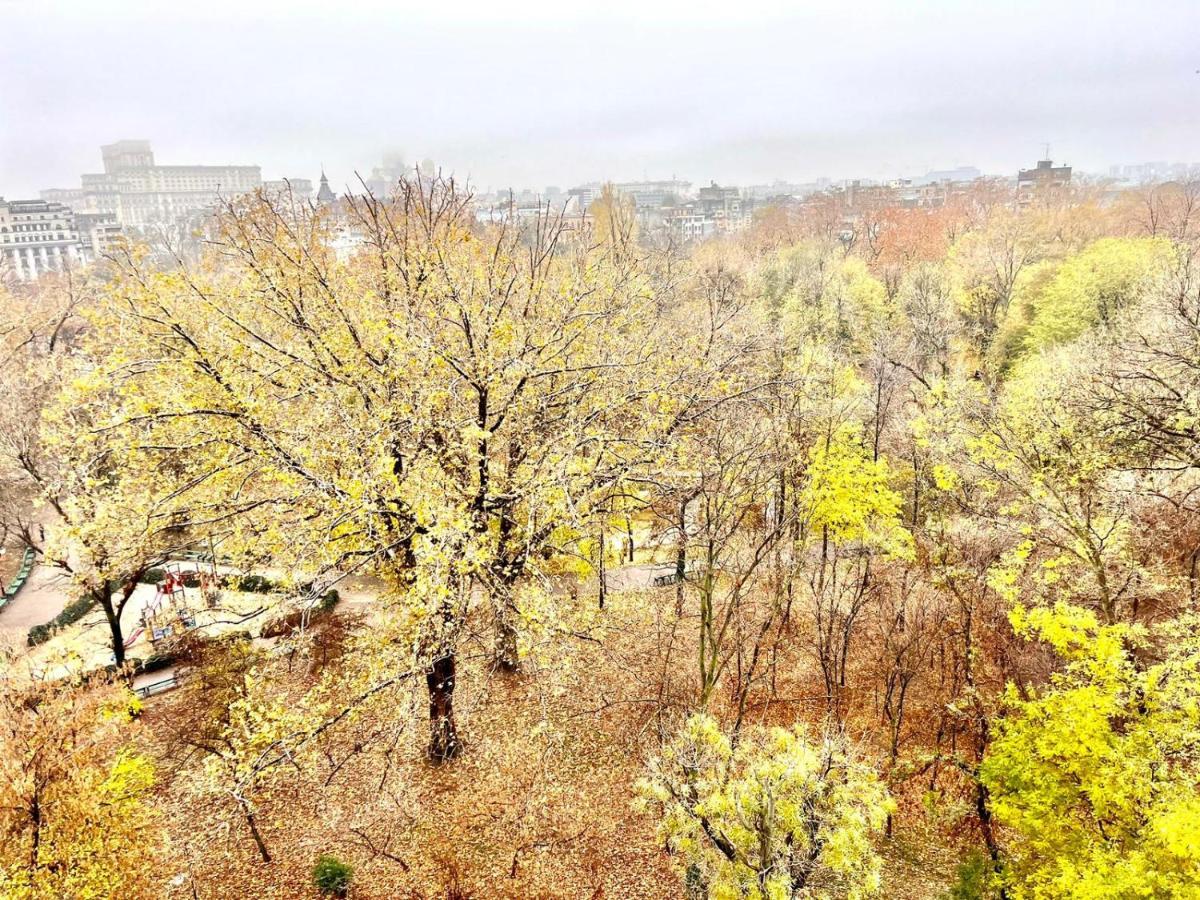 Panoramic Lil' Paris Appartamento Bucarest